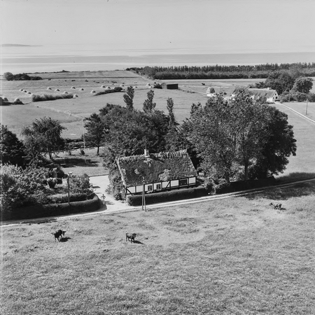 Vester Bøgebjerg udsigt mod Storebelt